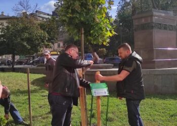 Завдяки висадці іменних дерев у Львові волонтери зібрали понад мільйон гривень на дрони для 24 бригади