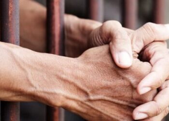 Жительку Сокаля засудили на 7 років за вбивство співмешканця – Надзвичайні події