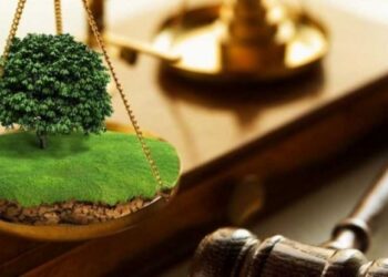 Більше 5 земельних ділянок у Львові та області планують продати найближчим часом