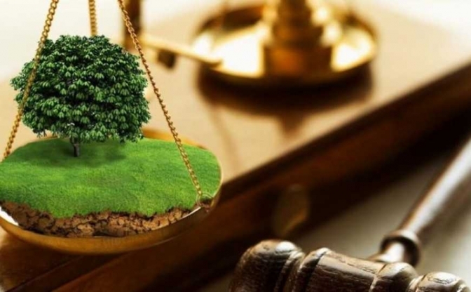 Фото умовне