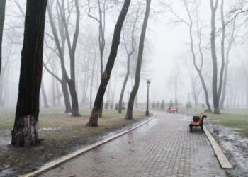Мокрий сніг та 5 градусів тепла. Якою буде погода на Львівщині сьогодні
