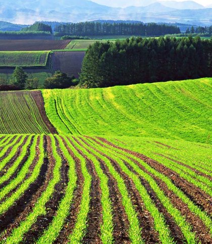 На Львівщині у росіянина конфіскували 4 земельні ділянки, вартістю понад 4 млн грн 