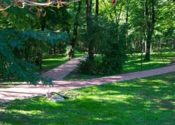 У Львові наступного року не будуть косити траву