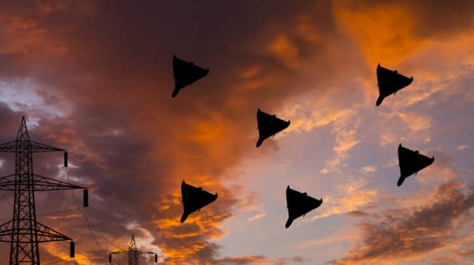 Фото умовне