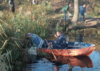 В озері Алмазне, де загинула риба, виявили труби невідомого походження