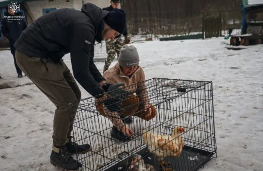 Новости Днепра про 5 котов полтавской