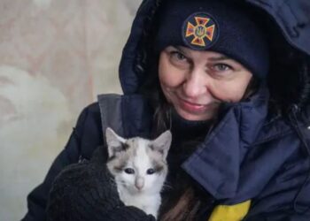 5 котов полтавской «Робинзонки Крузо», 21 год жившей на безлюдном острове, нашли приют в Днепре – Дніпро