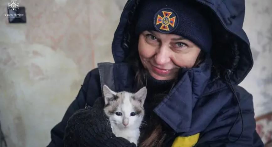 Новости Днепра про 5 котов полтавской