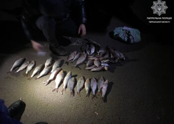 Синець, плітка, чехонь: у Черкасах викрили рибалку-порушника – Новини Черкасс