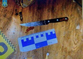 Брат убив брата: повідомлено про підозру та взято під варту звенигородця — Новости Черкасс