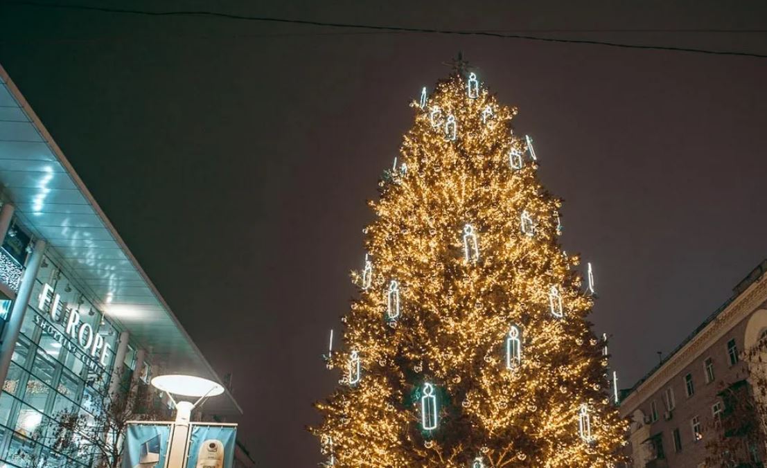 Новости Днепра про Будет сразу три елки: в Днепре раскрыли планы на Новый Год