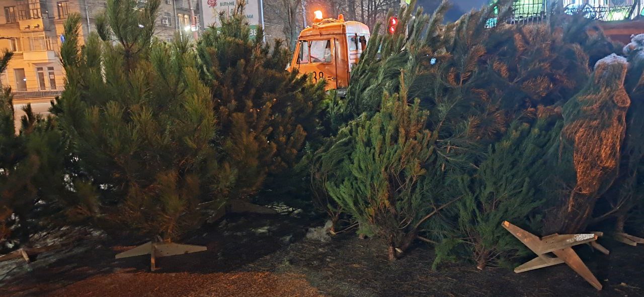 Новости Днепра про Где в Днепре можно купить метровую елку за 300 грн