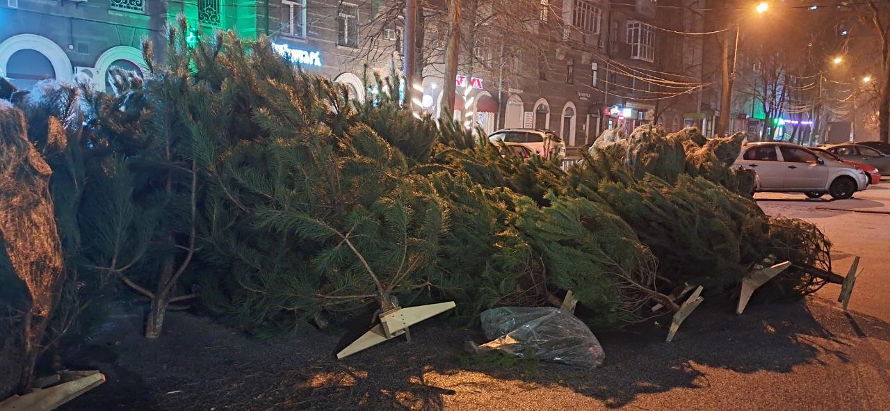 Новости Днепра про Где в Днепре можно купить метровую елку за 300 грн