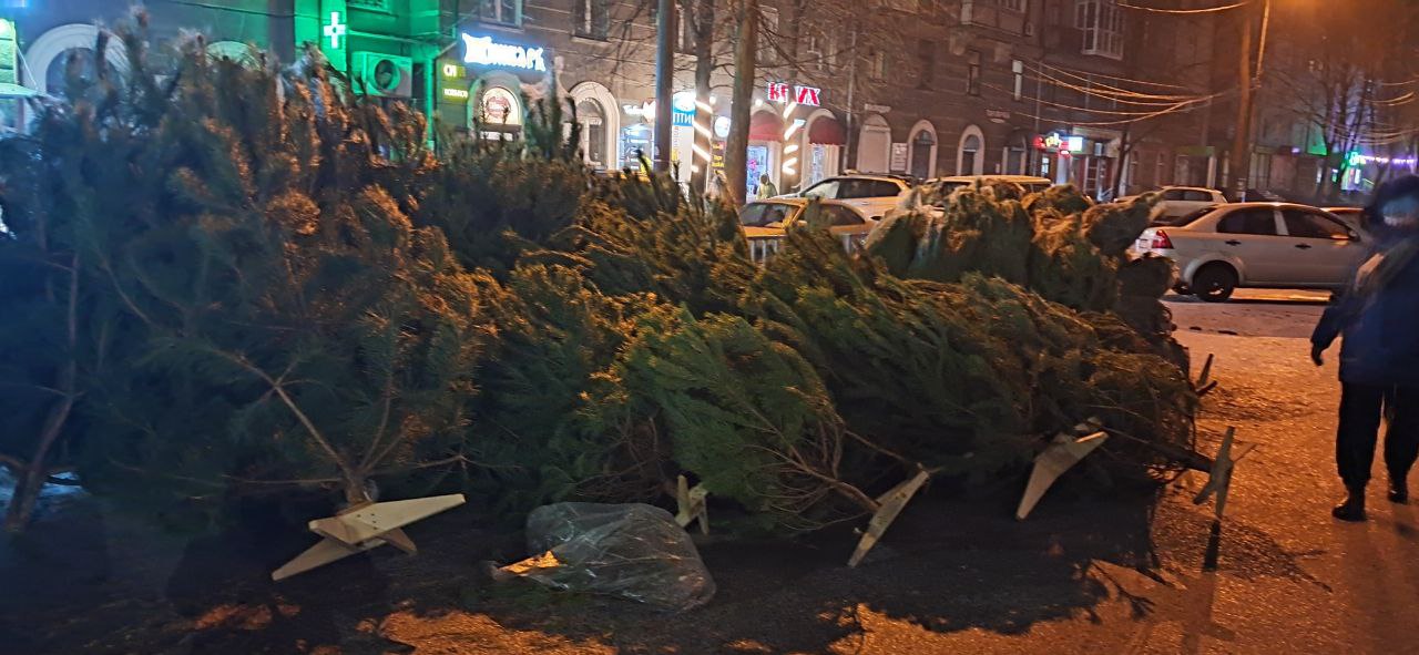 Новости Днепра про Где в Днепре можно купить метровую елку за 300 грн