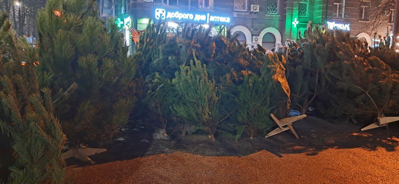 Новости Днепра про Где в Днепре можно купить метровую елку за 300 грн