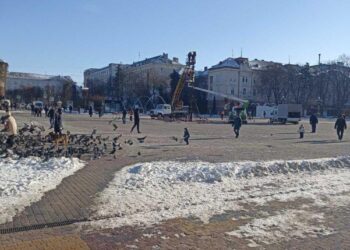 Головну ялинку Тернополя встановлюють 30 листопада