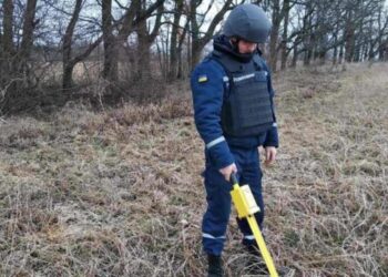 Гранатомет біля села Бенева Золотниківської ТГ виявили ДСНС