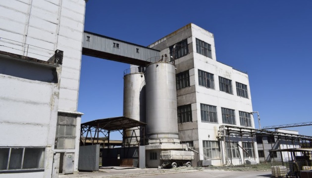 630_360_1701775627-767