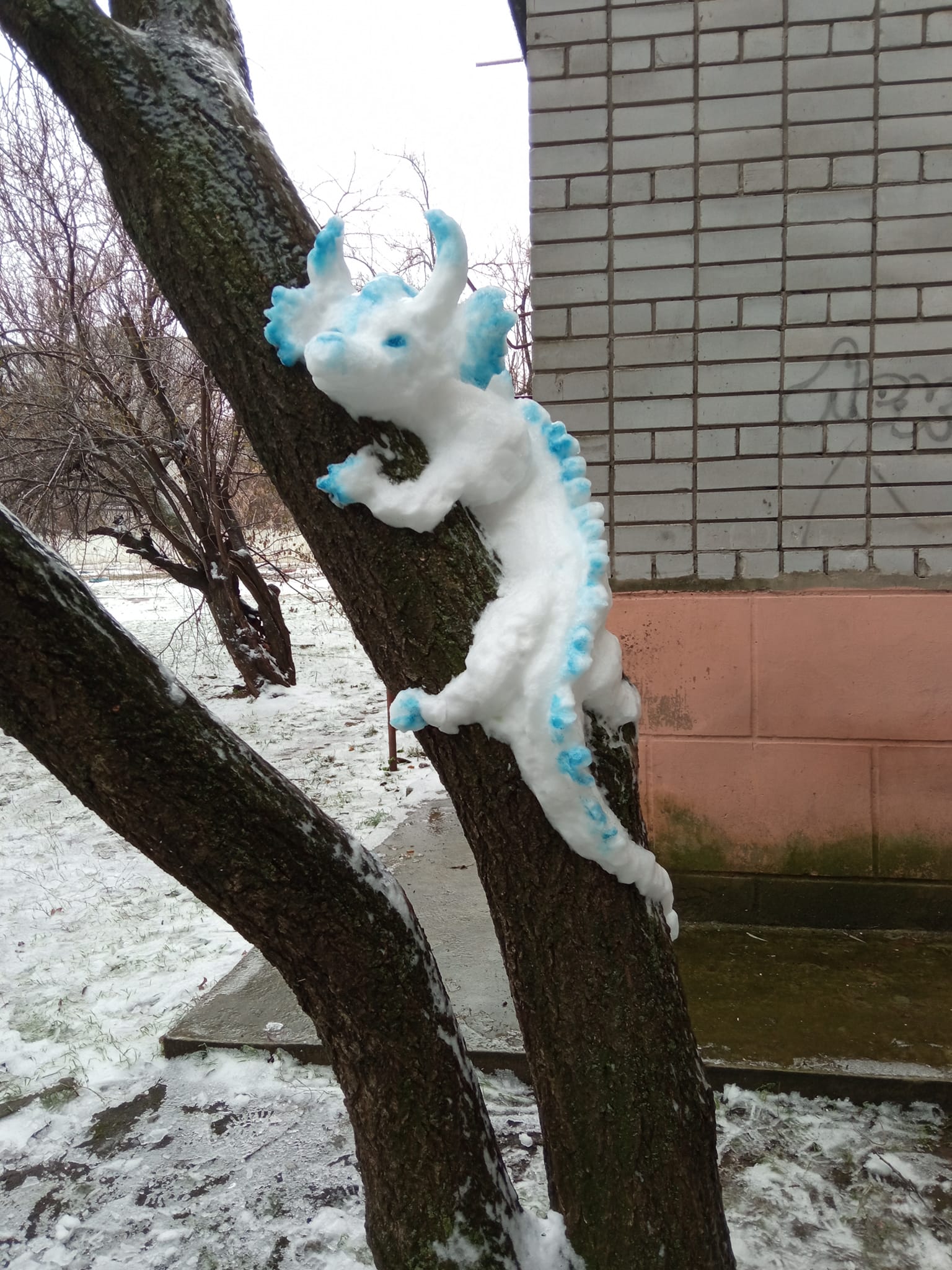 Новости Днепра про На Днепропетровщине на дереве заметили 