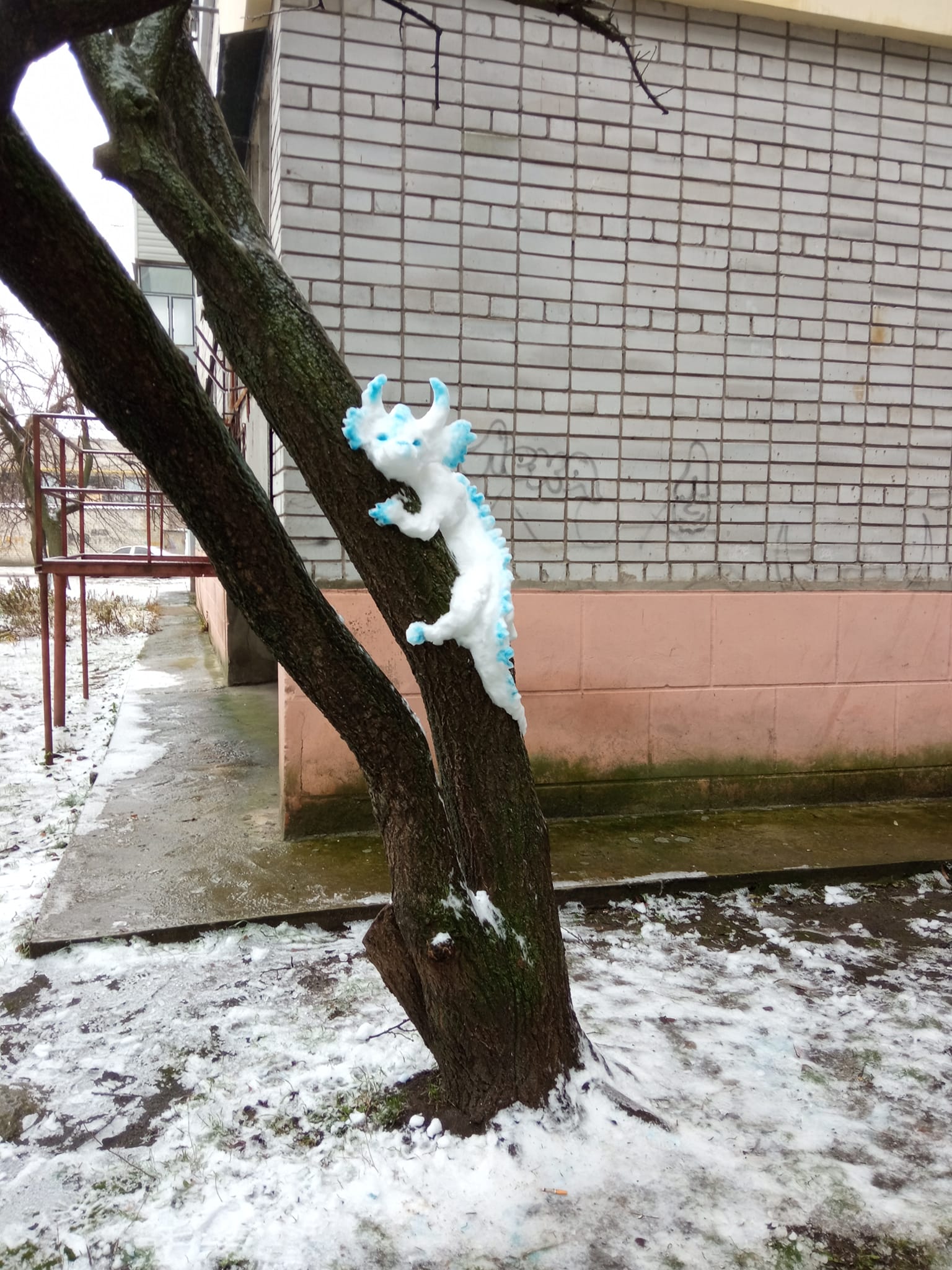 Новости Днепра про На Днепропетровщине на дереве заметили 