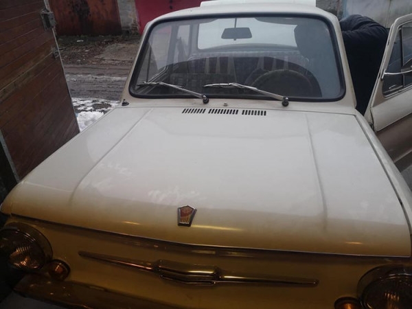 410676899_10161023291812173_5839037384969097577_n