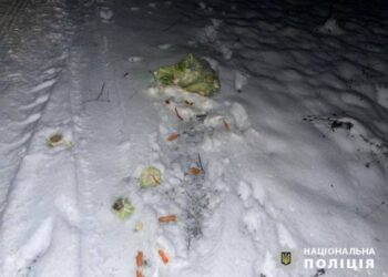 На Звенигородщині п’яний водій скоїв наїзд на неповнолітню та втік з місця ДТП — Новости Черкасс