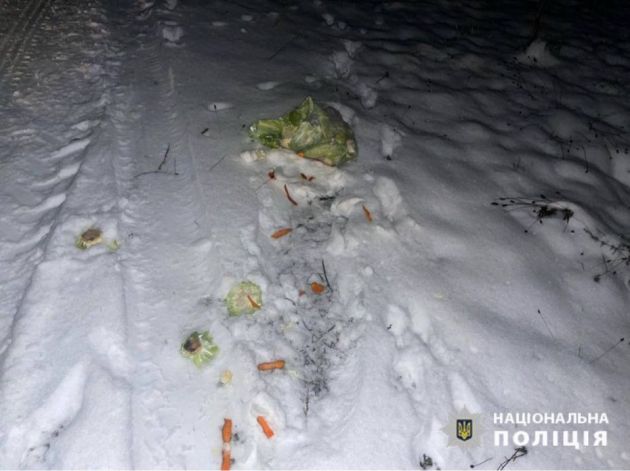 410494676_756773126493978_3270672989284945964_n