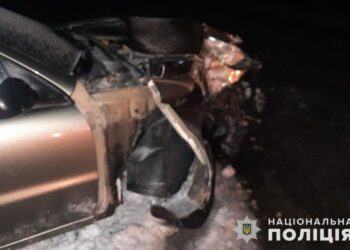 П’яна водійка в’їхала у чуже подвір’я