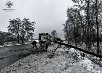 Поблизу села Деньги на дорогу впало дерево — Новости Черкасс