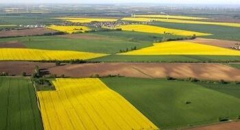 Прокуратура оприлюднила результати конфіскації українських земель з володіння іноземців — Новости Черкасс