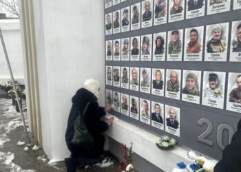 Рідні загиблих військових прикрашають алею туй у Черкасах іменними новорічними іграшками — Новости Черкасс