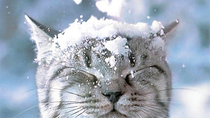 Фото умовне