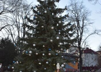 У Бучачі сперечаються через міську новорічну ялинку