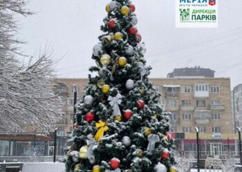 У Черкасах установлять новорічну ялинку  — Новости Черкасс