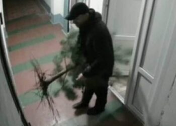 У Дніпрі вандал вкрав з двору багатоповерхівки ялинку, яку дітлахи хотіли прикрасити до свят |  Дніпро