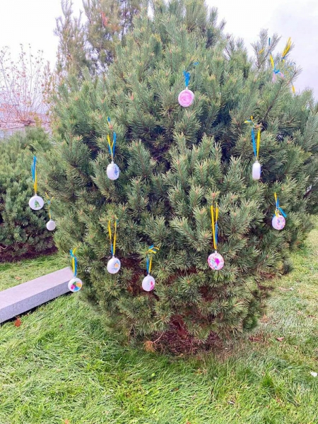 photo_2023-12-17_14-29-46ооооооооооо