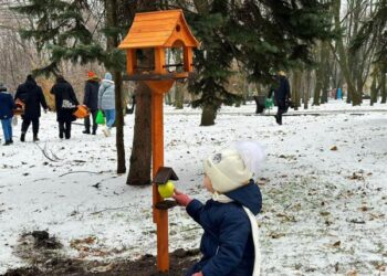 У парку Дніпра з’явилися нові годівнички для білочок та птахів |  Дніпро