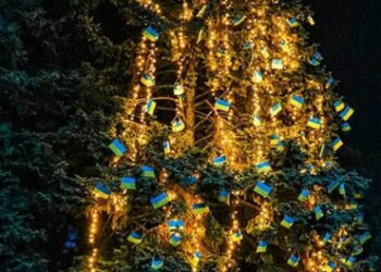 У Зеленодольську з’явилася «Ялинка незламності» та святкові фотозони |  Дніпро
