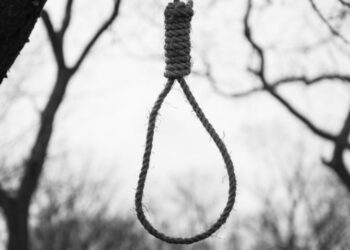 В Днепре 14-летняя девочка покончила с собой, повесившись на дереве: комментарий полиции – Дніпро