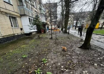В Днепропетровской области трое щенков случайно оказались под землей – Дніпро