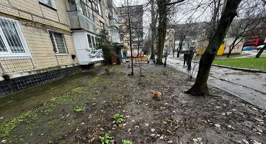 Новости Днепра про В Днепропетровской области трое щенков случайно оказались под землей