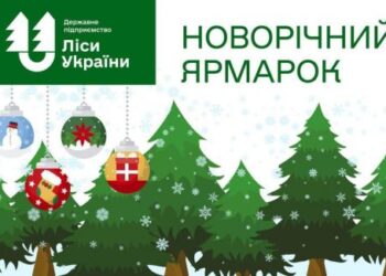 В яких лісництвах можна купити новорічну ялинку на Черкащині? — Новости Черкасс