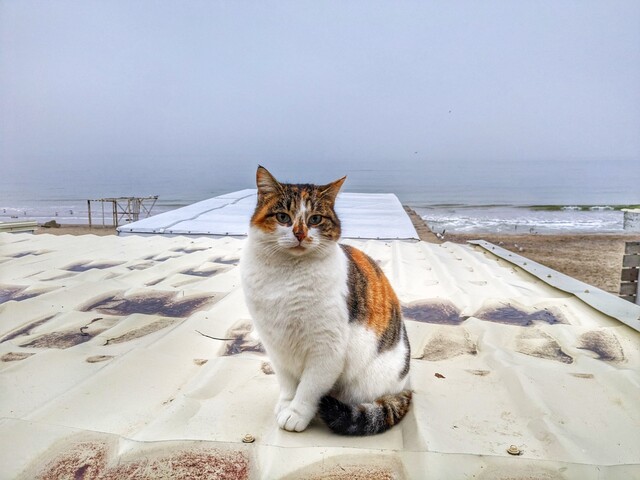 В Одесі очікують штормову погоду