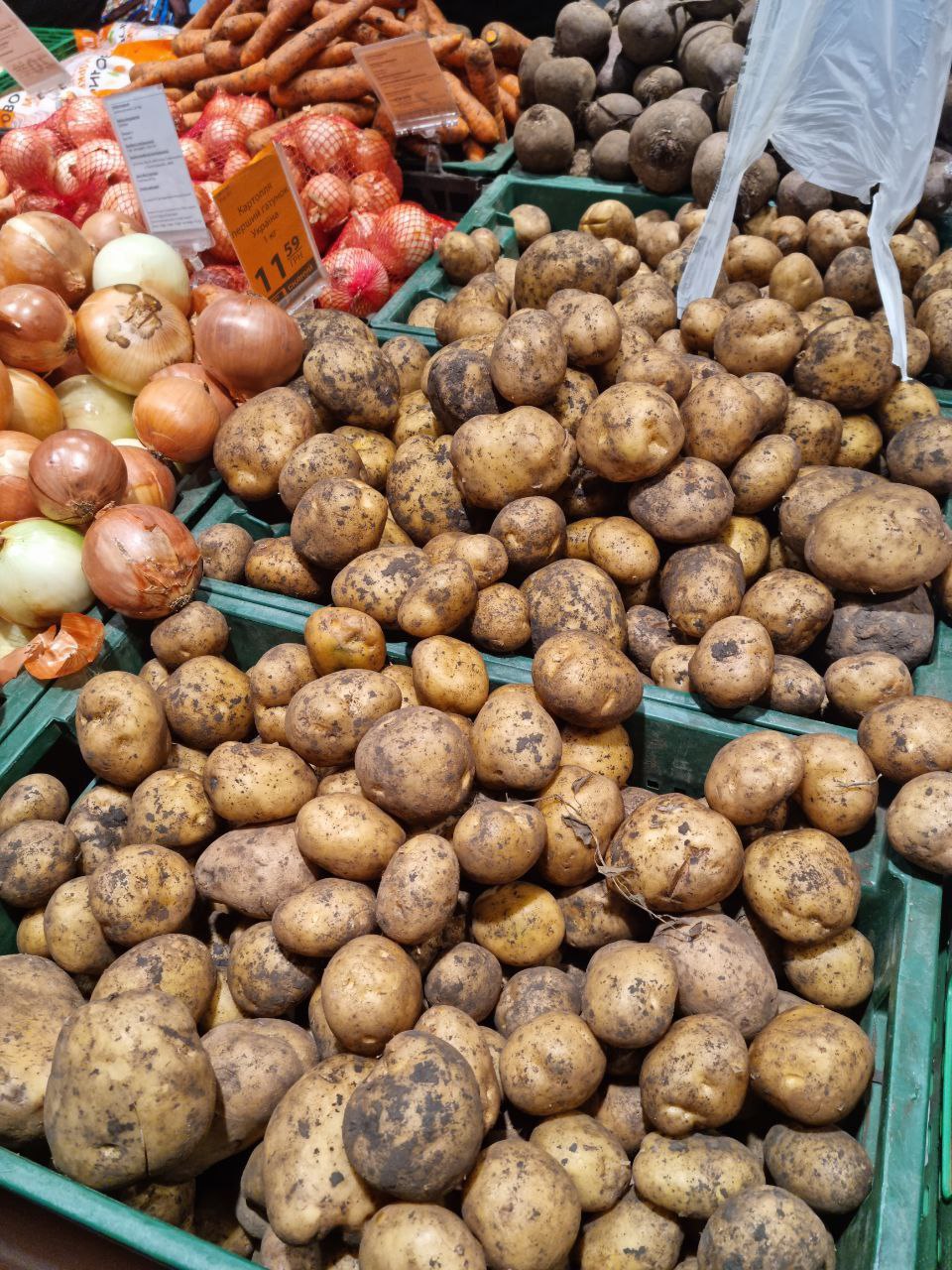 Новости Днепра про В Украине стоимость картофеля уже вдвое выше, чем в прошлом году: какие цены на базовый овощ в Днепре