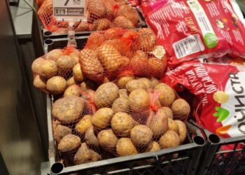 В Украине стоимость картофеля уже вдвое выше, чем в прошлом году: какие цены на базовый овощ в Днепре – Дніпро