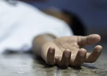 Вбивство на Тернопільщині – 33-річний чоловік забив брата