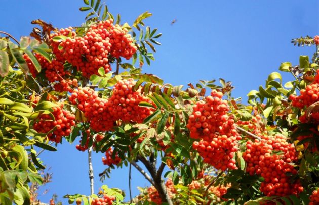 411675847_979370300393380_8512605191384990831_n