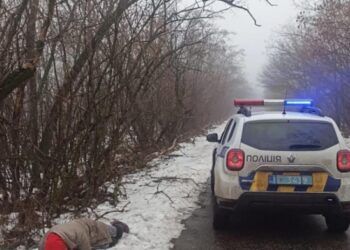 Замерзала у снігу: на Дніпропетровщині поліцейський врятував жінку |  Дніпро