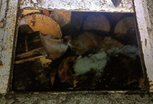 незаконне перевезення деревини