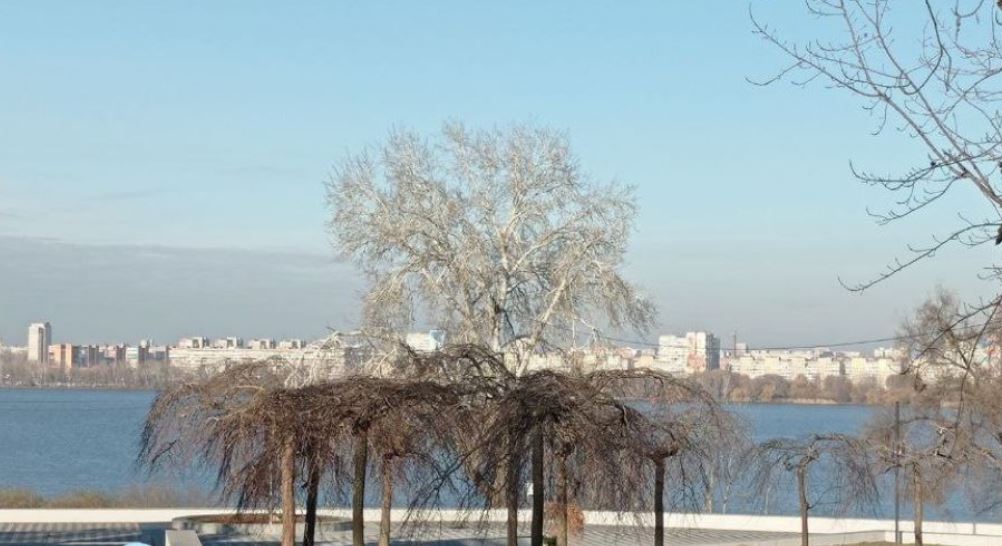 Новости Днепра про До Днепра до сих пор не пришла метеорологическая зима